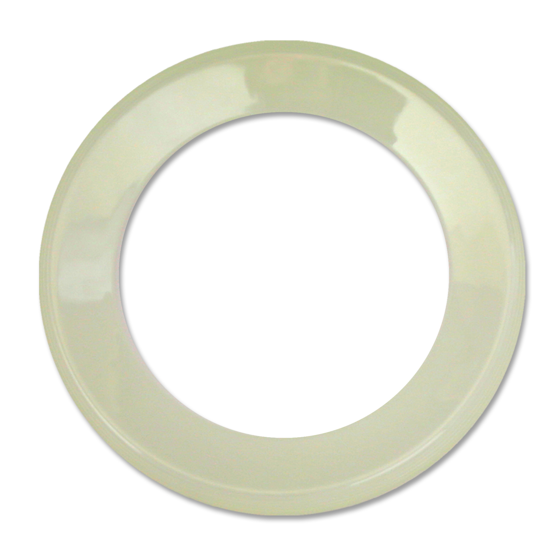 Glow in the Dark Ring Flyer