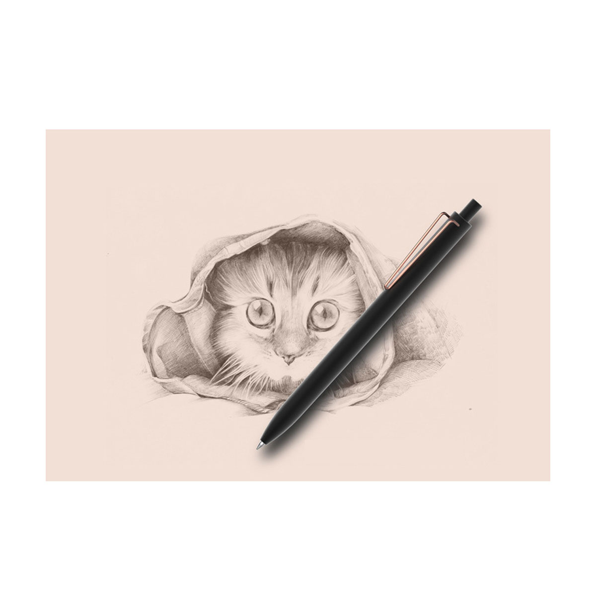 Elegant Ballpiont pen 6