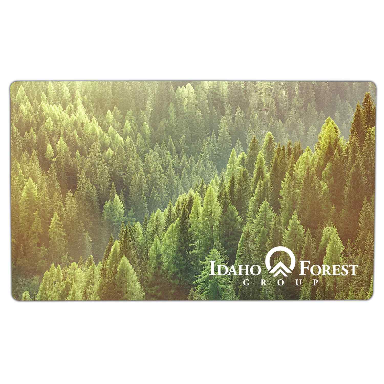 Floor Mat 2