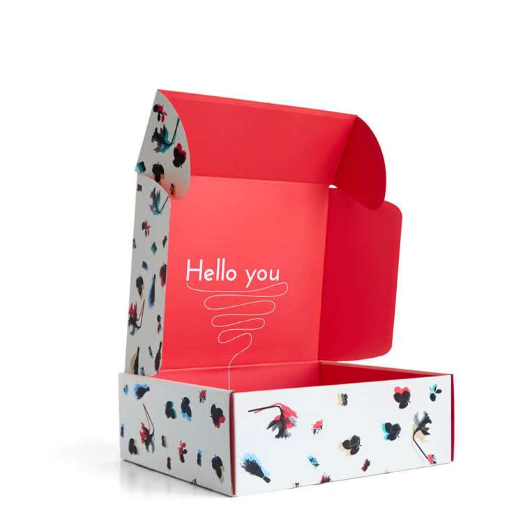 Custom Corrugated Display Mailer Box 3