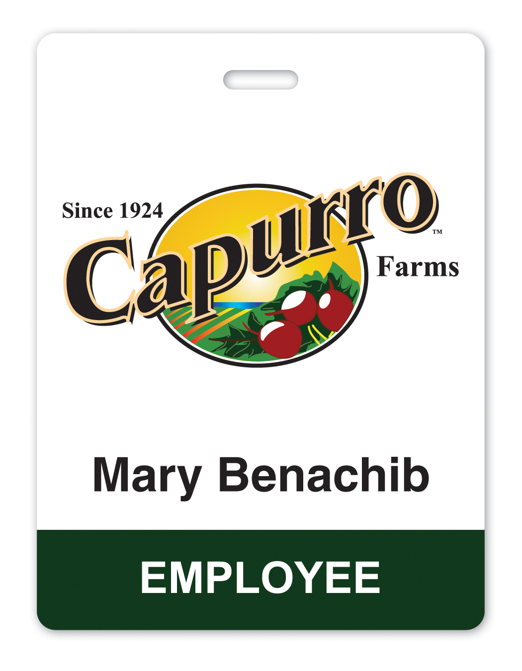 Laminated badge 2