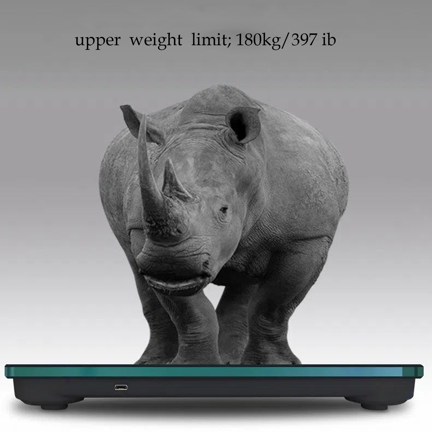 Scale for Body Weight 3