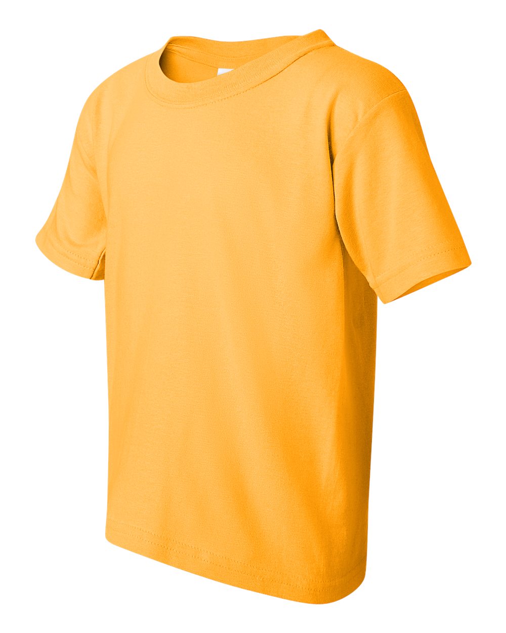 Youth Heavy Cotton™ T-Shirt - 5000B 246