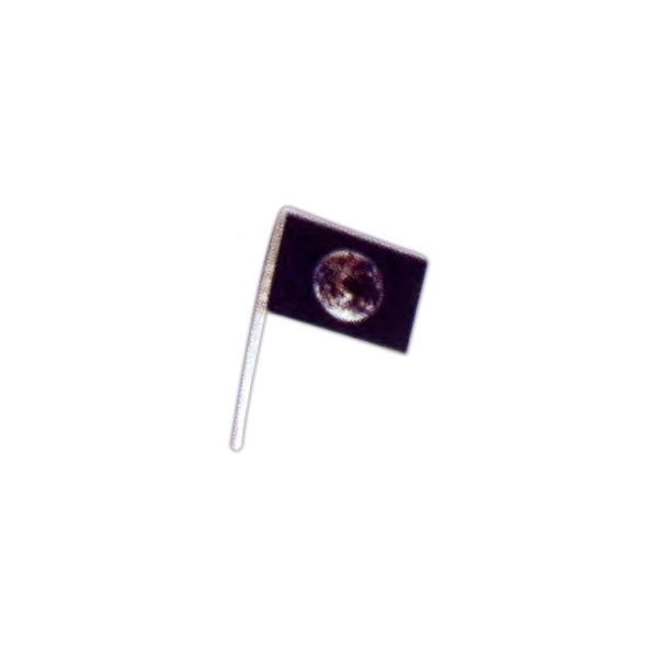 Earth Antenna Flag 1
