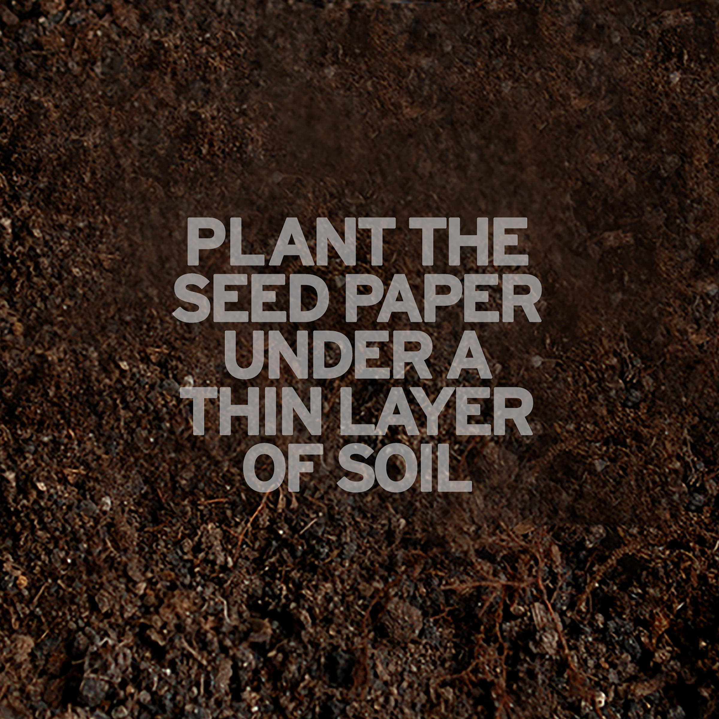 Geometric Personalized Plantable Journal: Standard 4