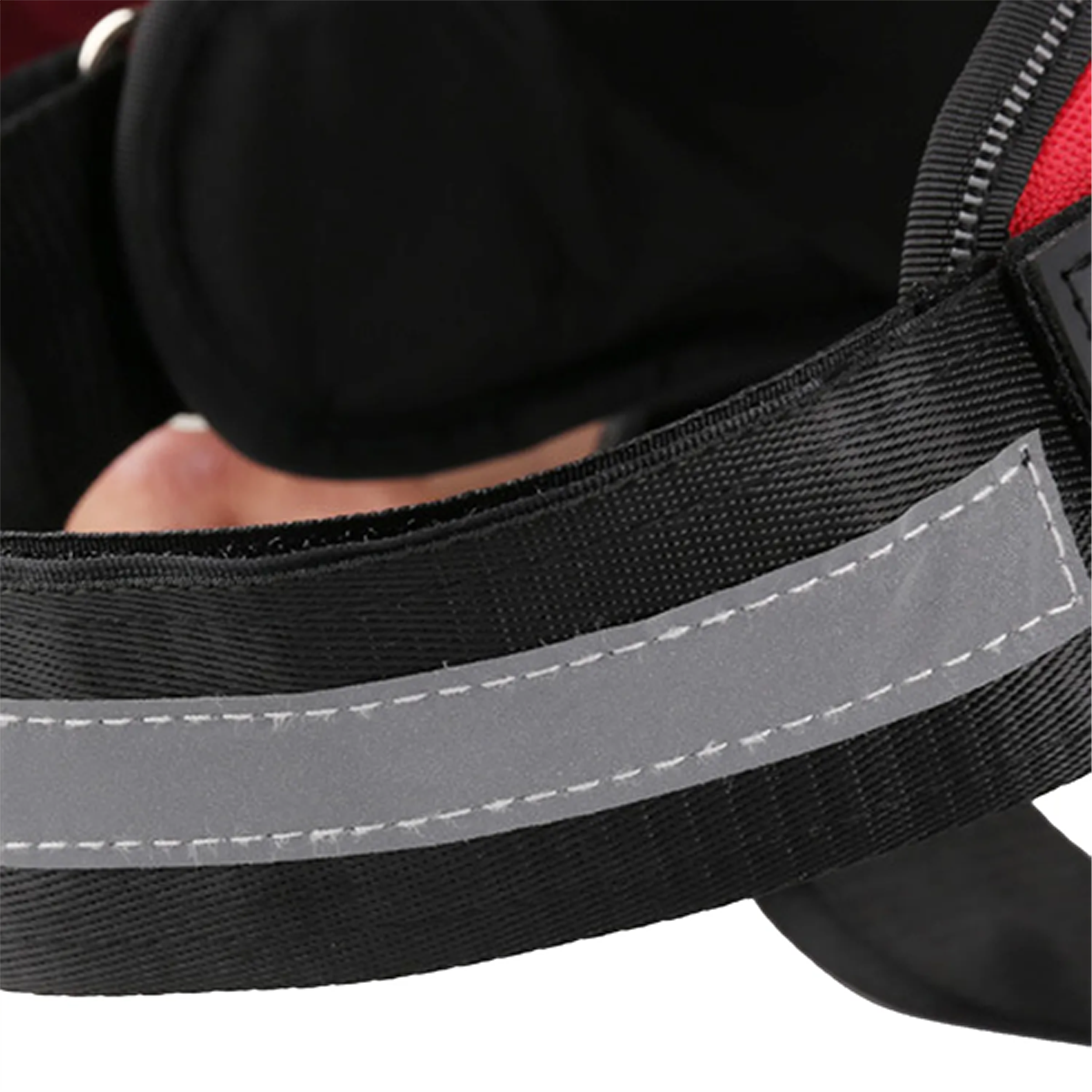 Outdoor Pet Harness 2