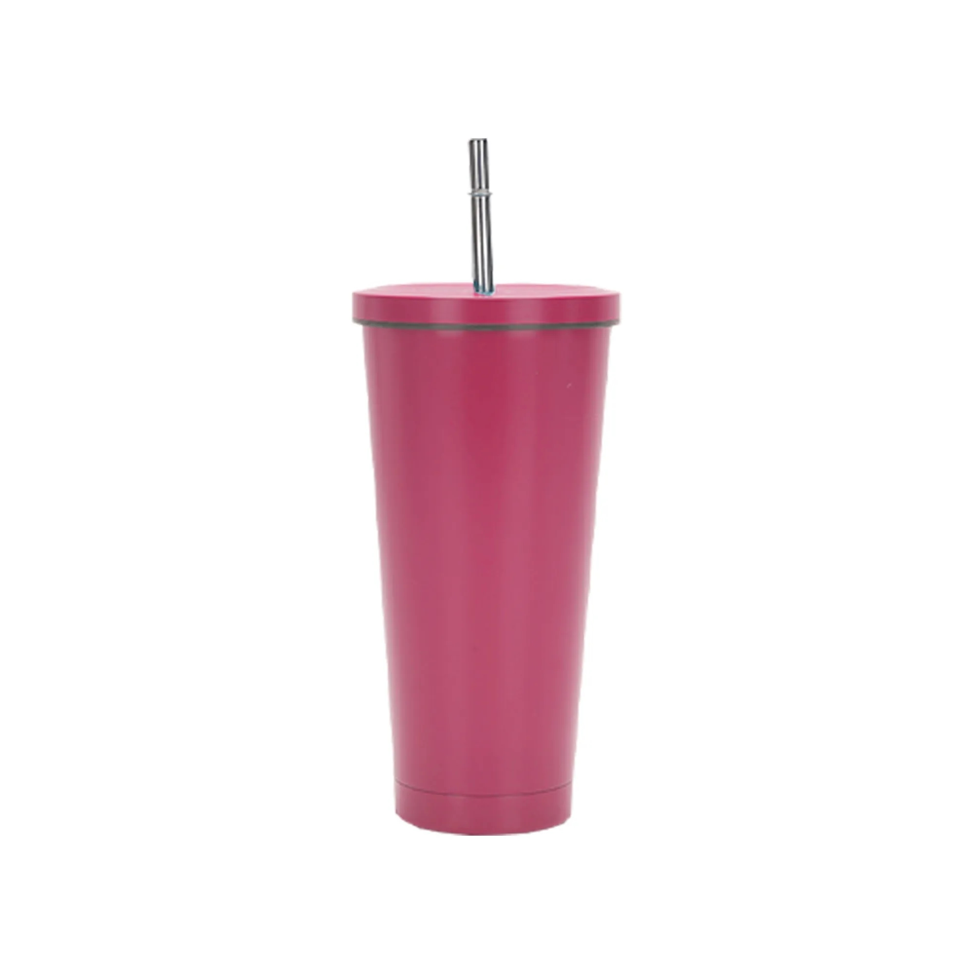 Sippy Cup 17 oz Stainless Steel Double Wall Vacuum Insulated 9