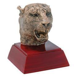 Economy Academic And Mascot Resins 8