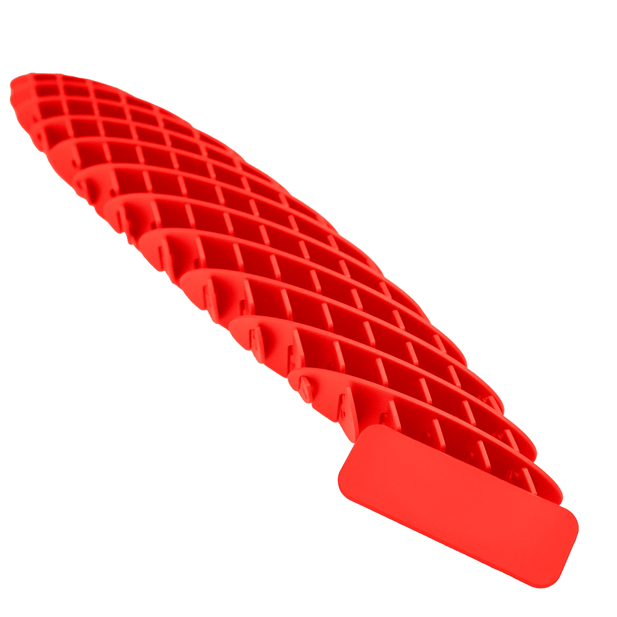 Fidget Sensory Worm 8