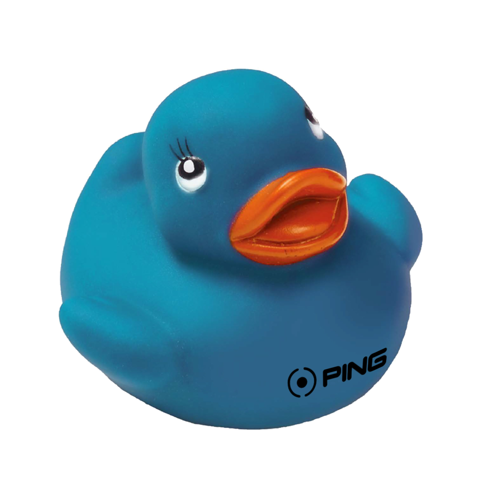 Colorful Duck 7