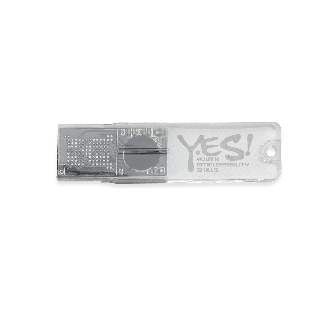 Big Rock Transparent USB Flash Drive