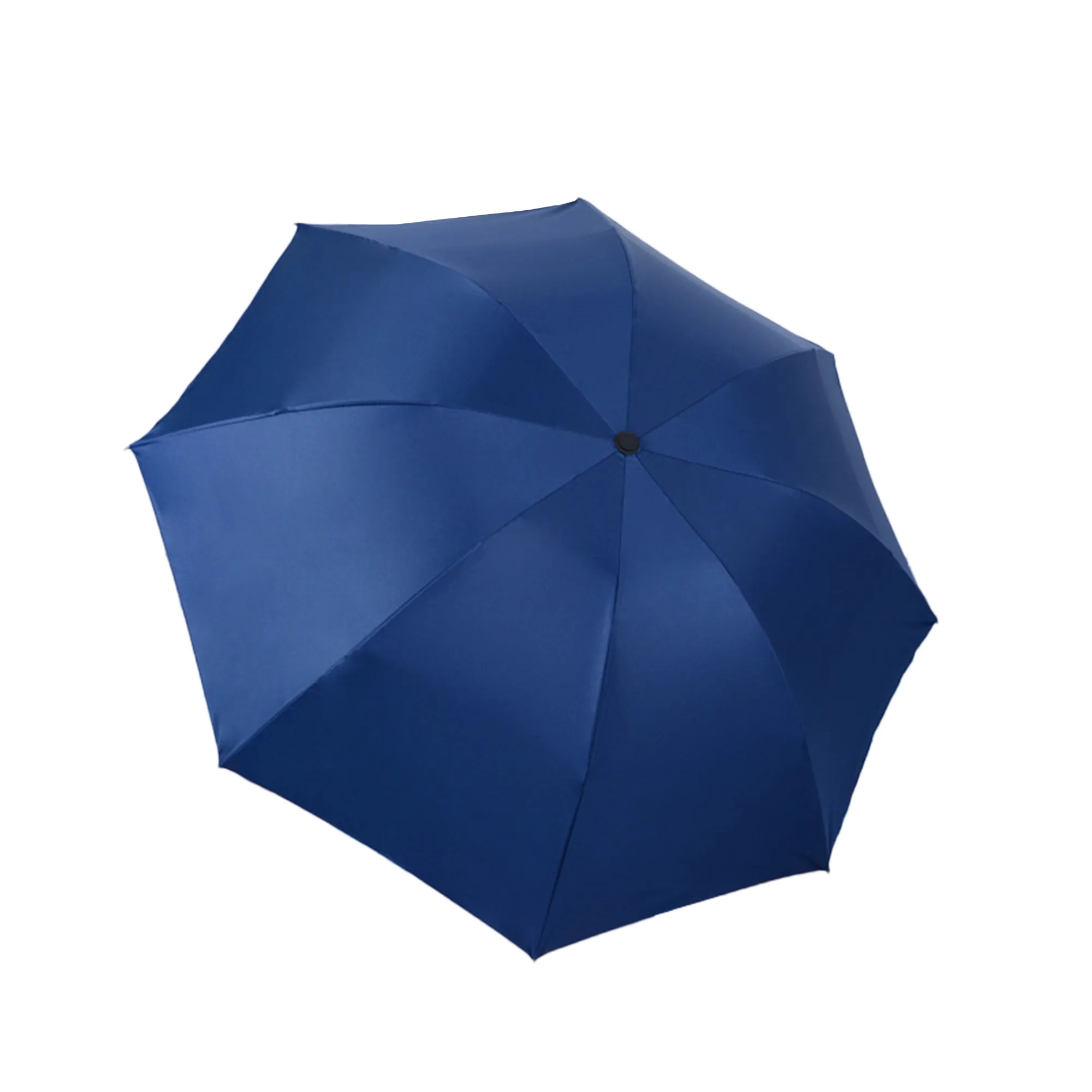 Umbrella 4