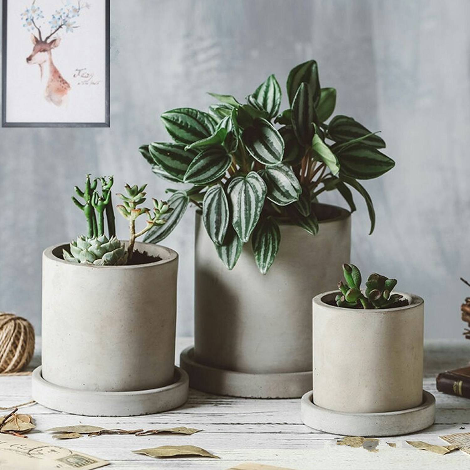 Cement Concrete Flowerpots 3