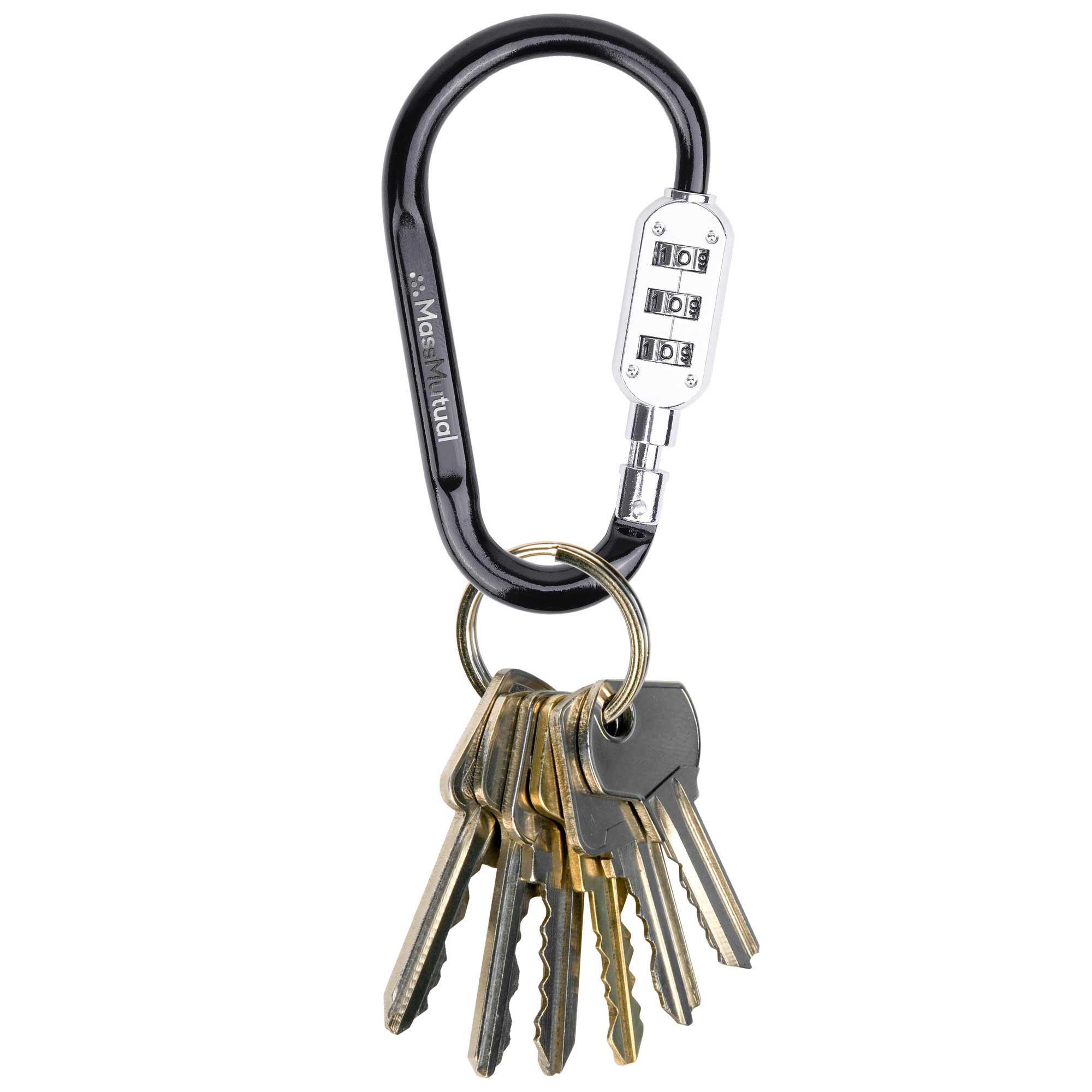 SecureLink Large Carabiner Keychain 2