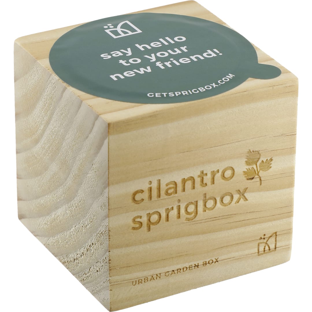 Sprigbox Cilantro Grow Kit 18