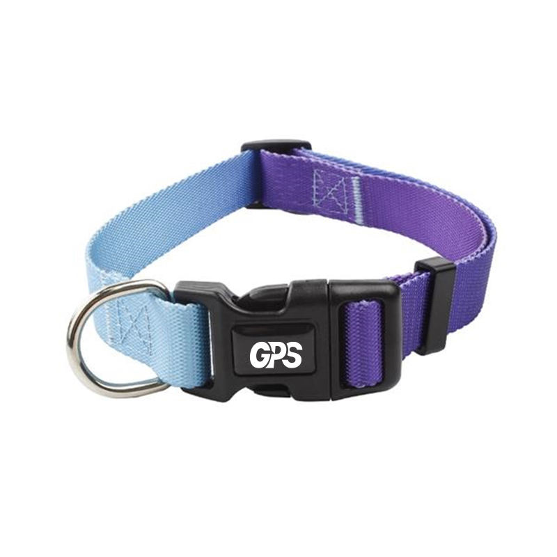 3/4 " Width Gradient Nylon Pet Collar with Traction Rope 2