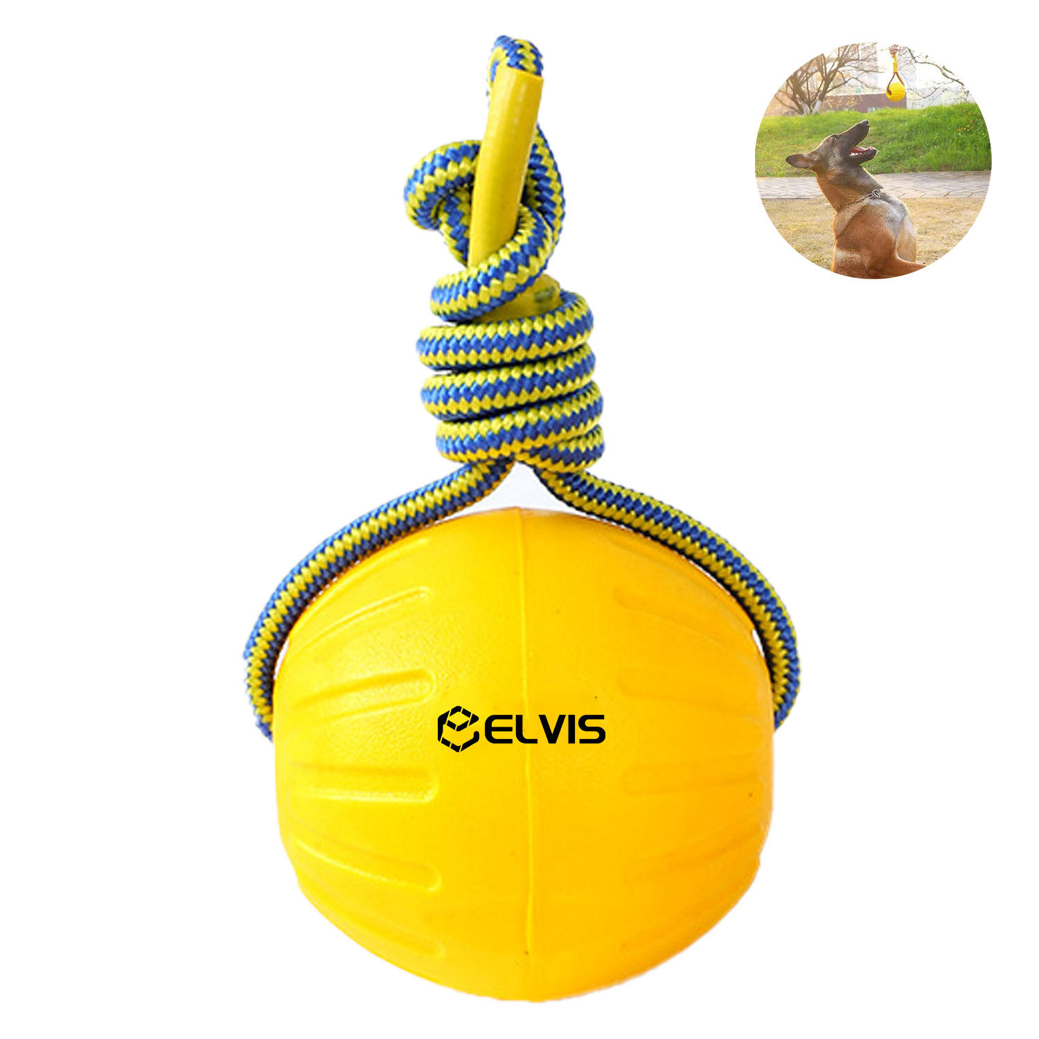 Dogs gnawing on pull tab pet toys 9