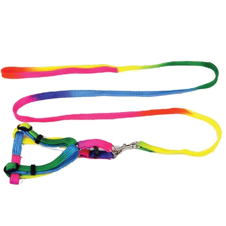 Rainbow Color Nylon Dog Rope 2