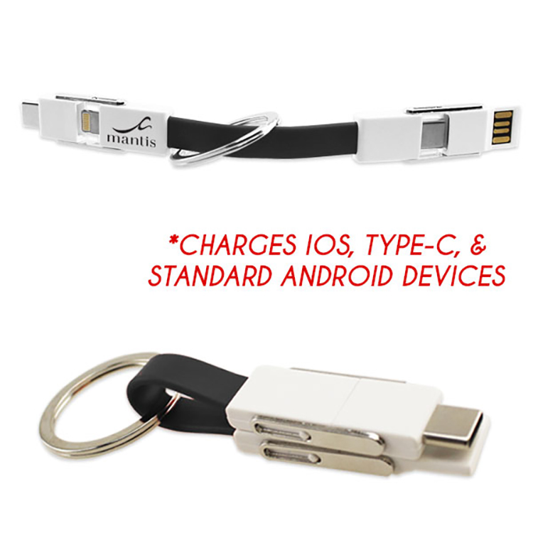 4-in-1 Keychain Charging Cable