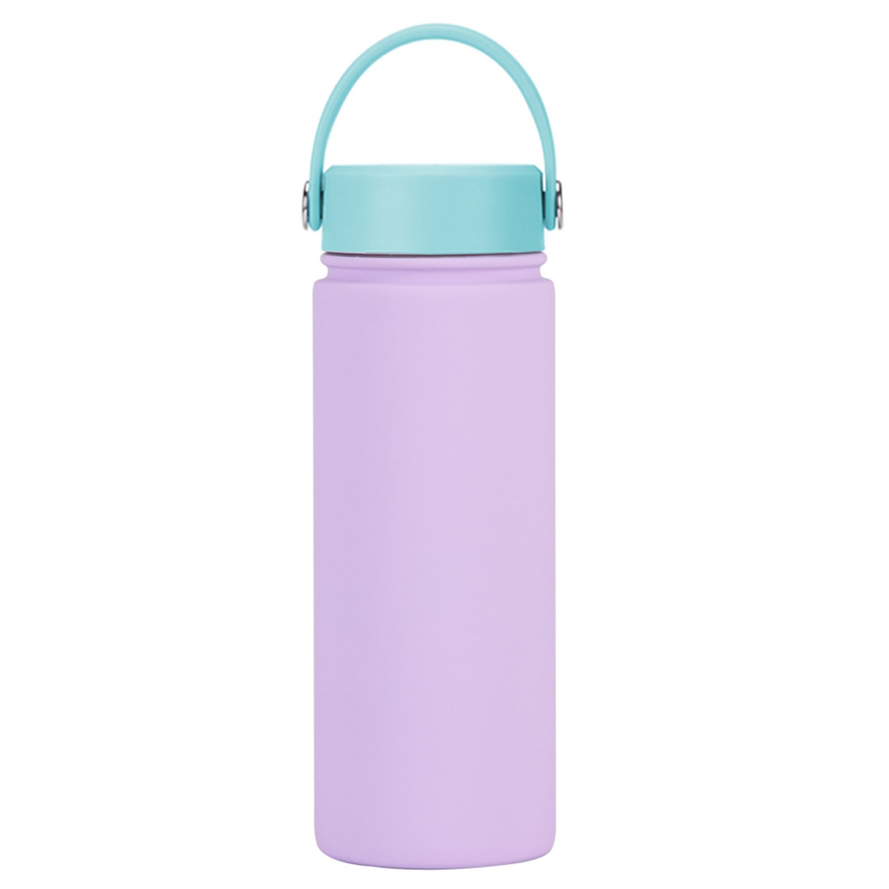 Stainless Steel Travel handled Water Bottle 15