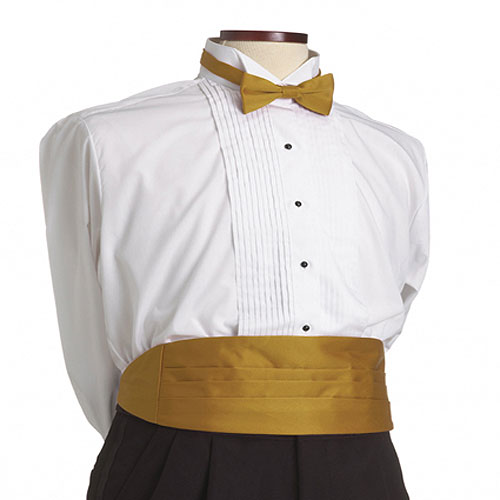 Vegas Gold Cummerbund 2
