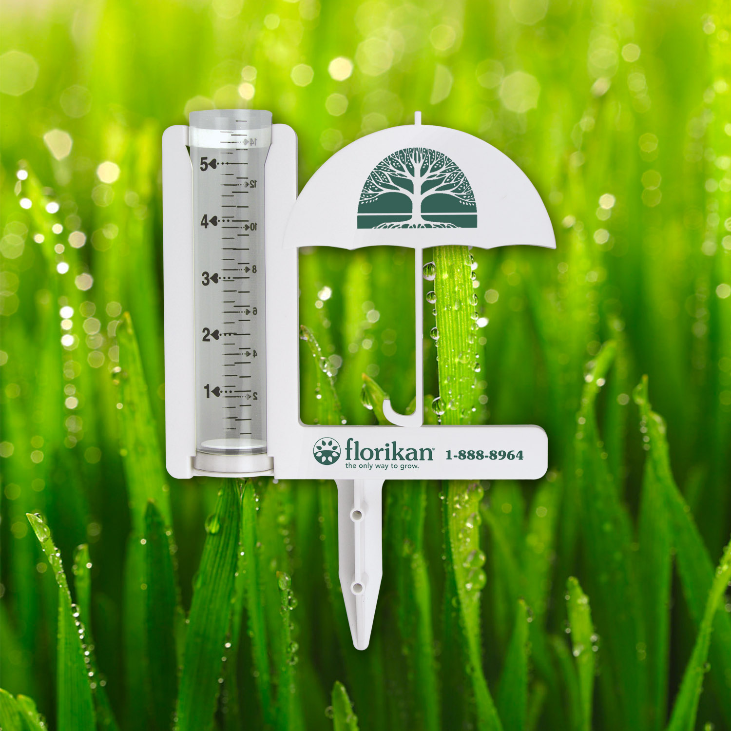 Umbrella Rain Gauge 4