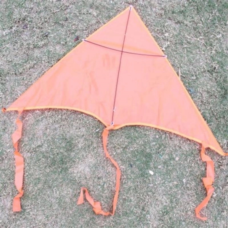 Xl Delta Jumbo Kite - 40" X 20" 8