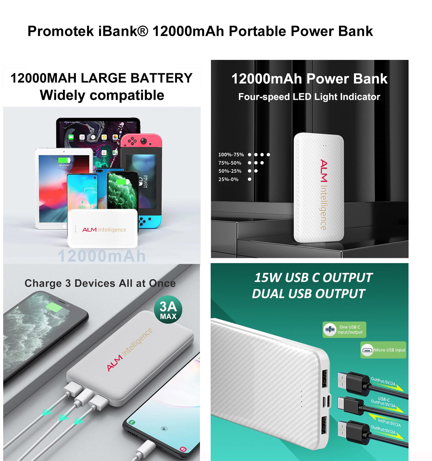 iBank ® 12000mAh Portable Power Bank 1