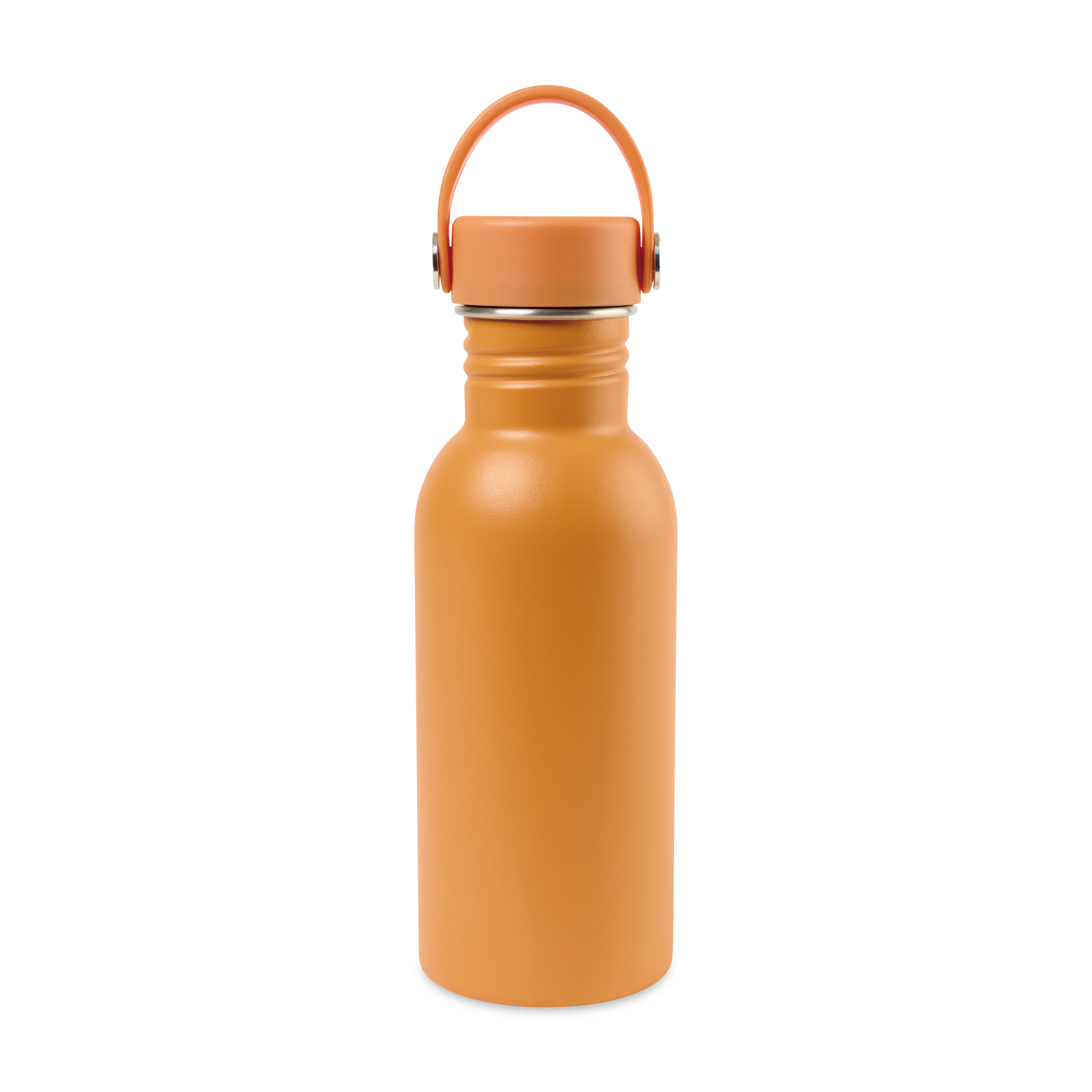 Arlo Classics Stainless Steel Hydration Bottle - 17 Oz. 13