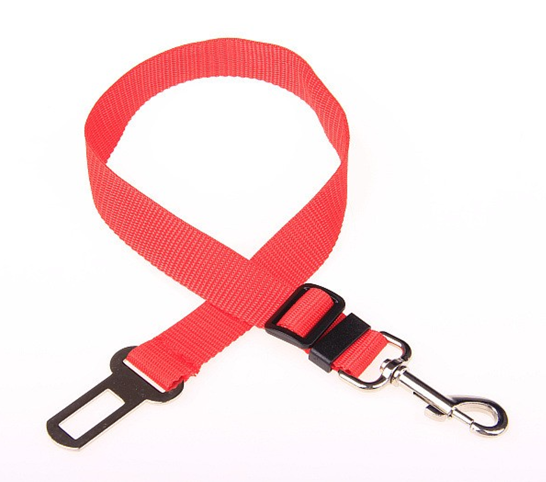 pet car leash 3