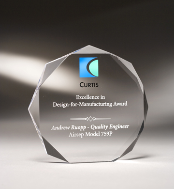 4 1/2" Beveled Octagon Mini Acrylic Award 2