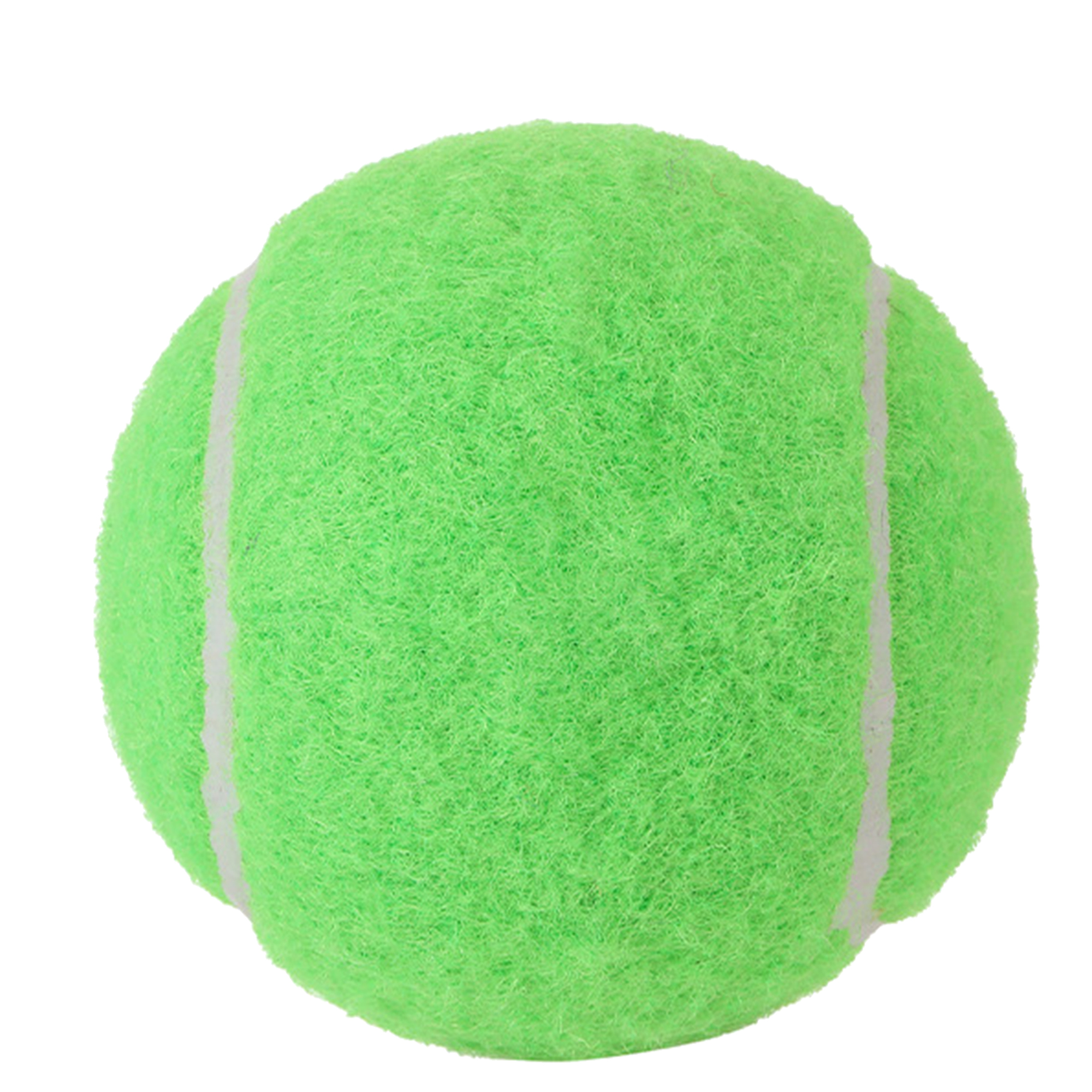 Customizable Dog Play Ball 10