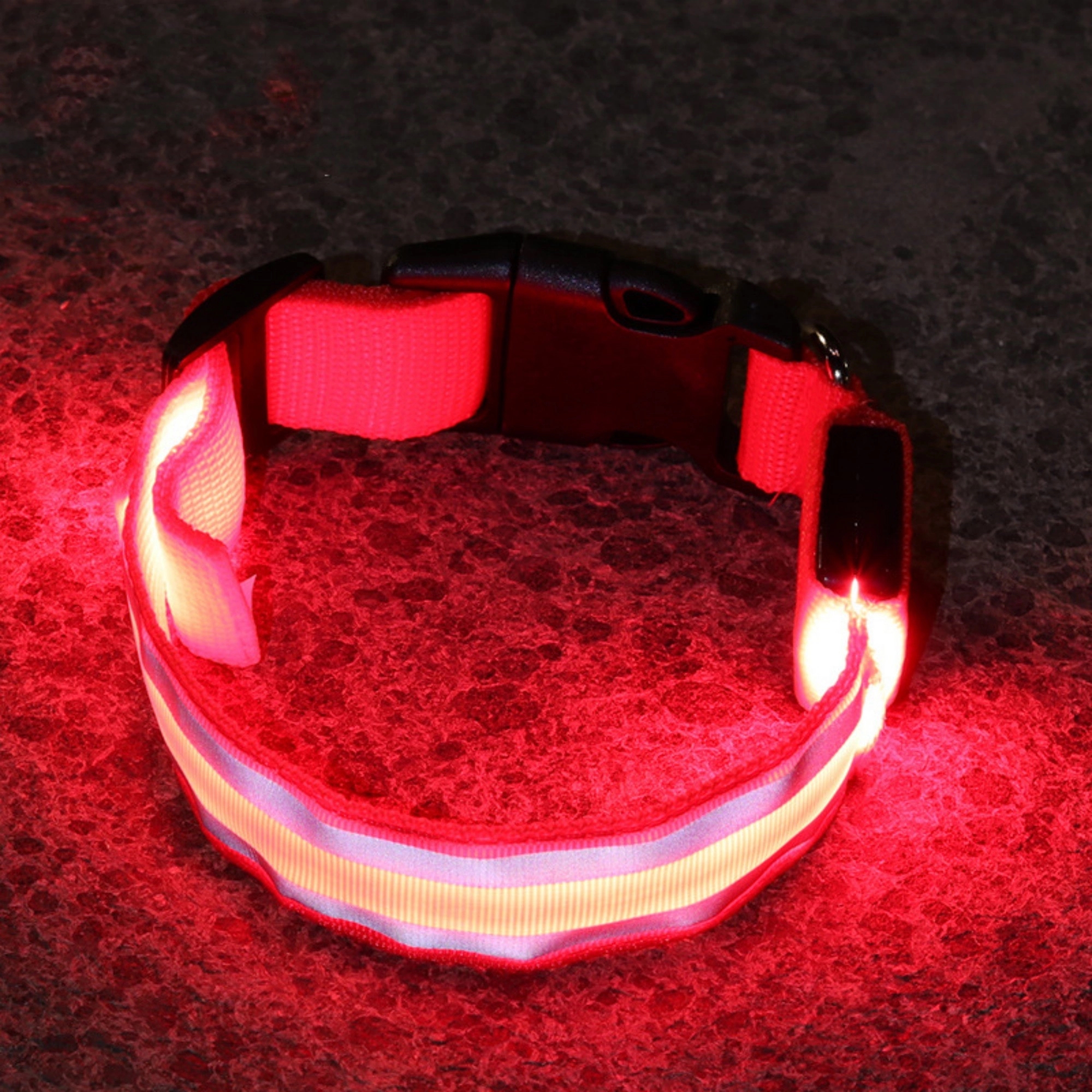 LED Dog Collar 3