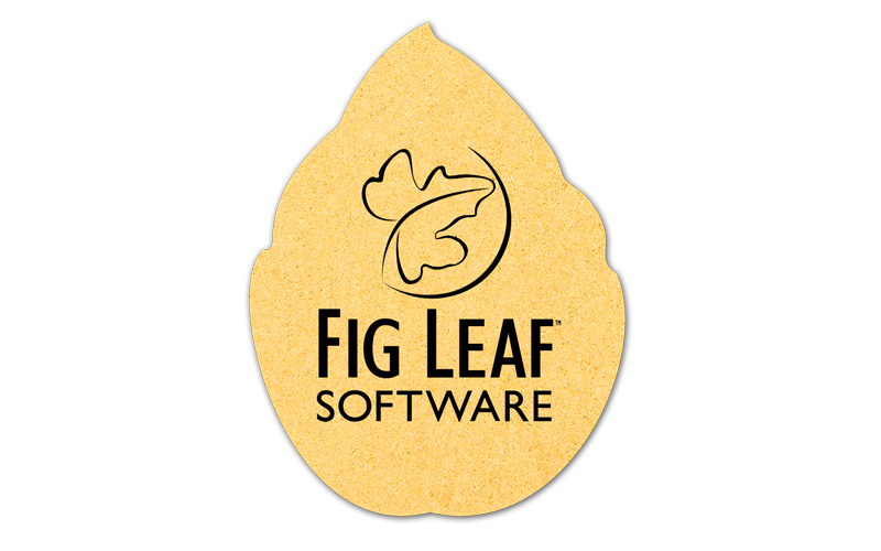 Leaf Compressed Sponge 2