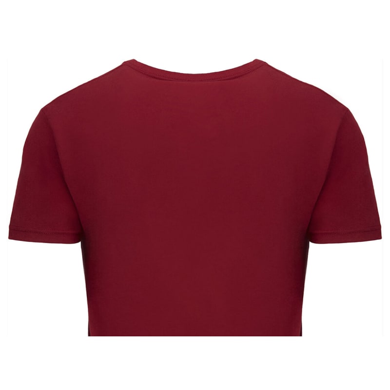 Next Level Apparel Men's Cotton V 4
