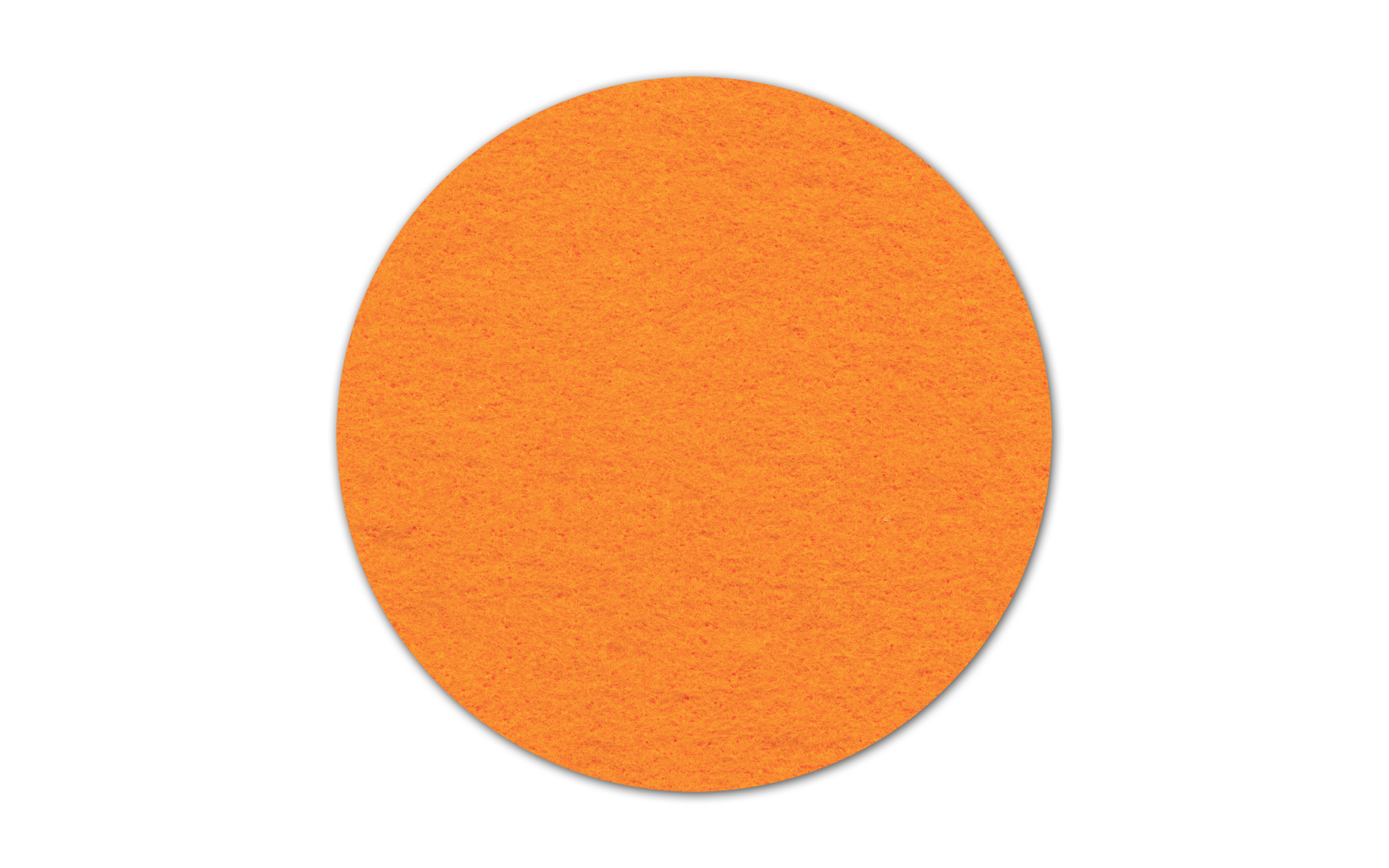 Circle Shammy Coaster 3