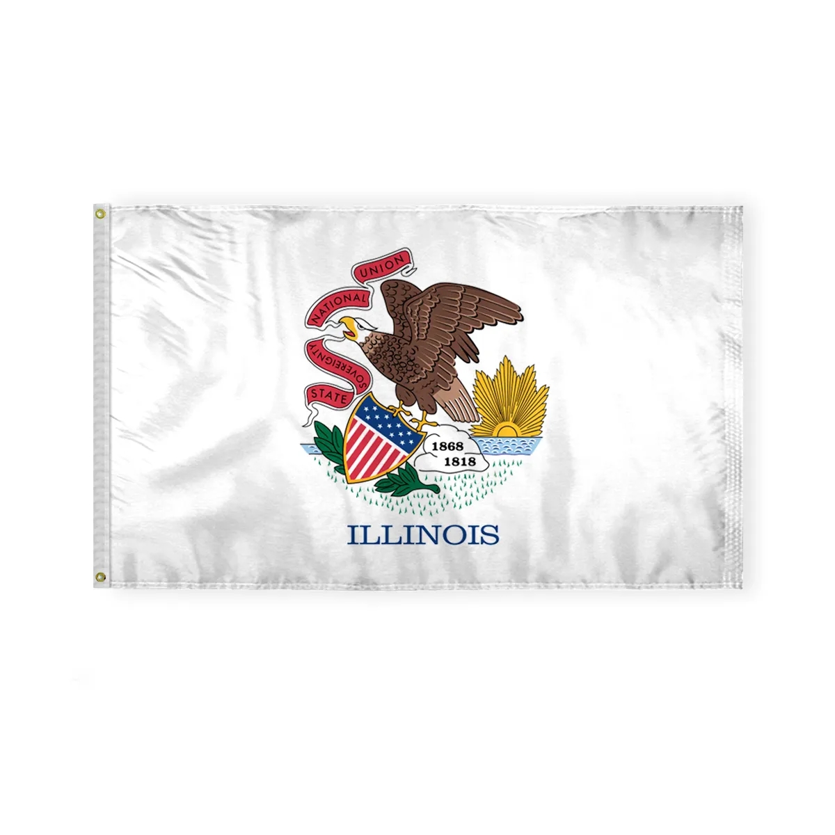12"x18" to  8'x12'  Illinois Nylon Flags 5