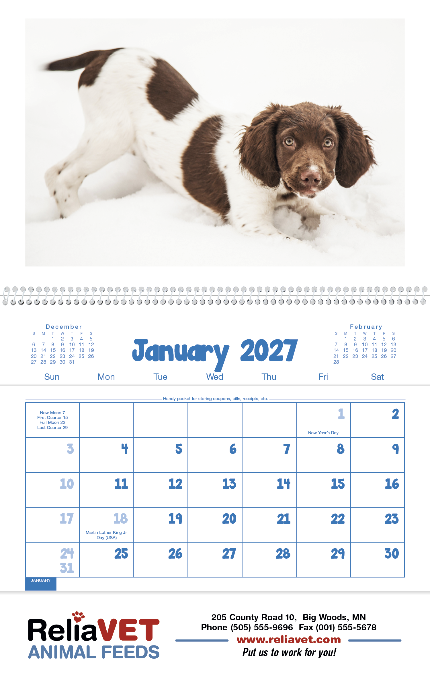 Triumph® Calendars Puppies & Kittens Pocket Calendar 57