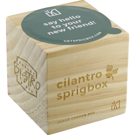 Sprigbox Cilantro Grow Kit 4
