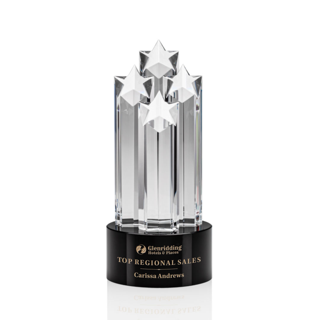 Ascot Star Award - Black 3