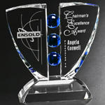 Pinion Indigo Award 8