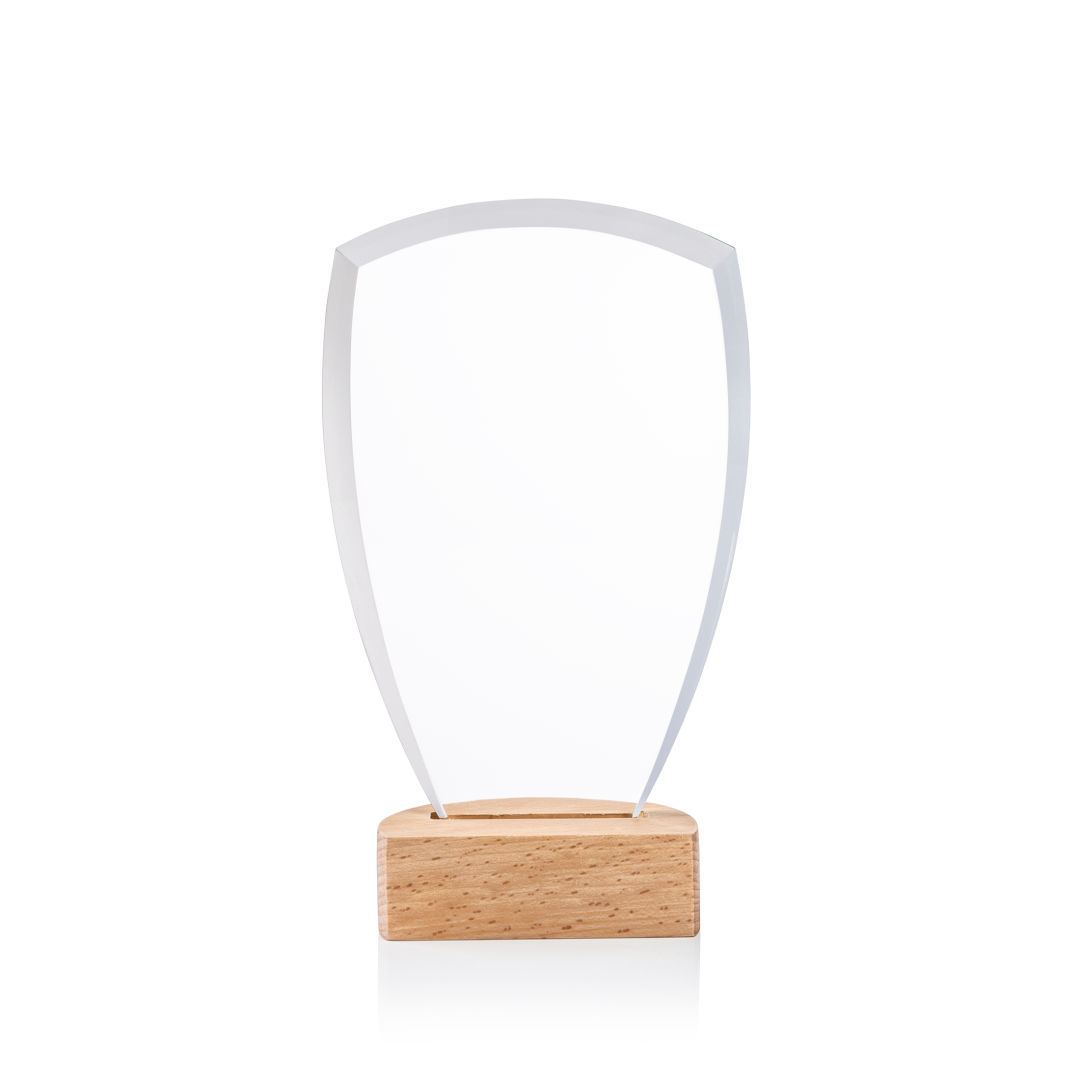 Hendrick Award 8