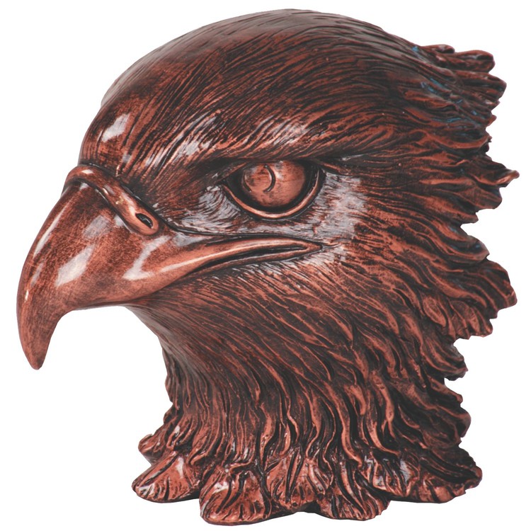 Eagle Leadership Award 13