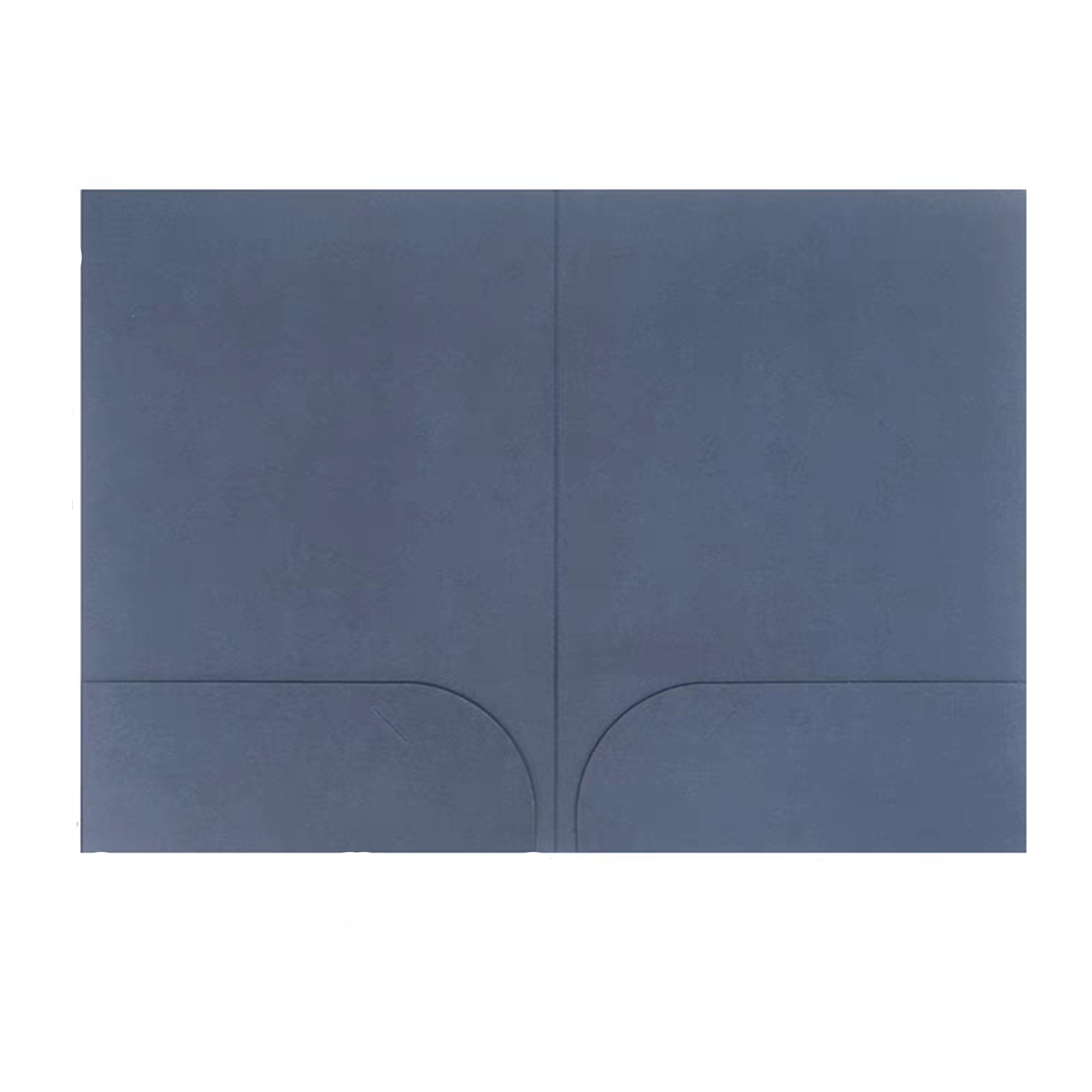 Professional Document Folder 2