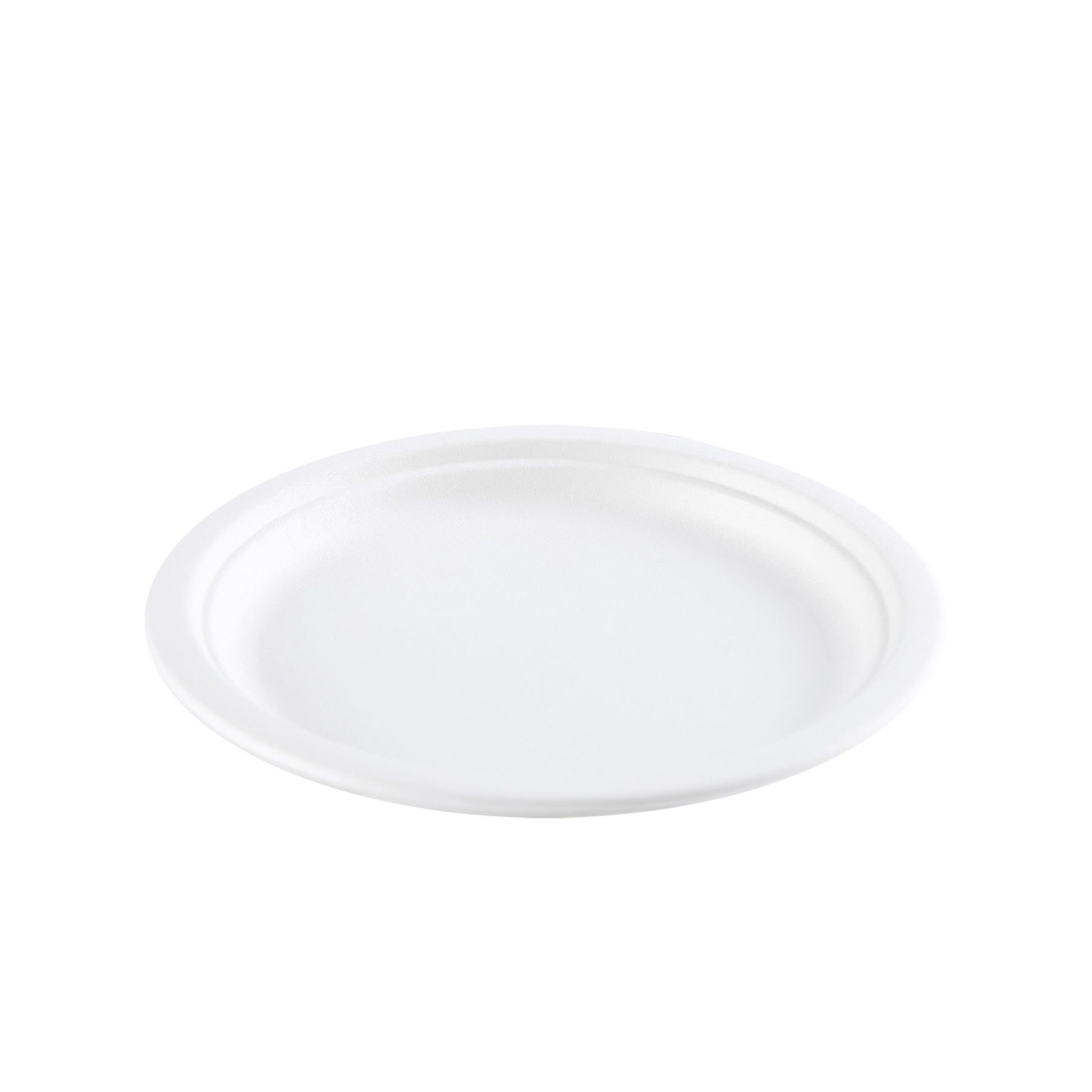 Biodegradable Food Plate 3