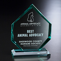 Titan Award 8