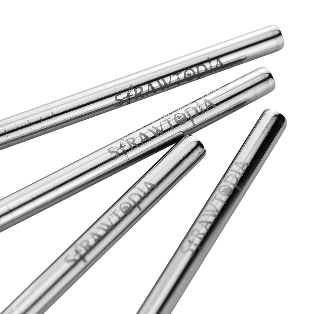 Stainless Steel Metal Straw 3