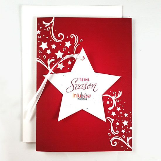 Seasonal Star Ornament Business Holiday Cards 2