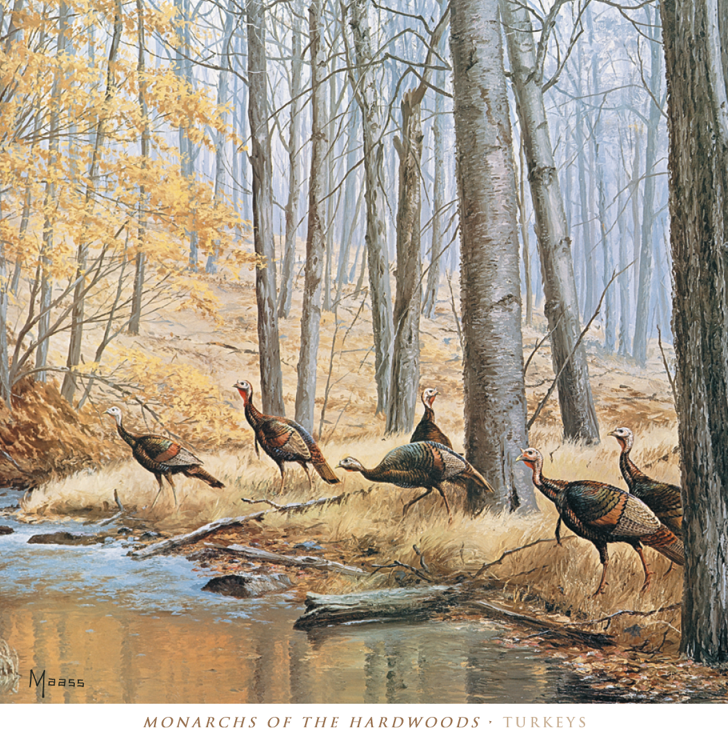 HotLine® Products David Maass Executive Calendar 33