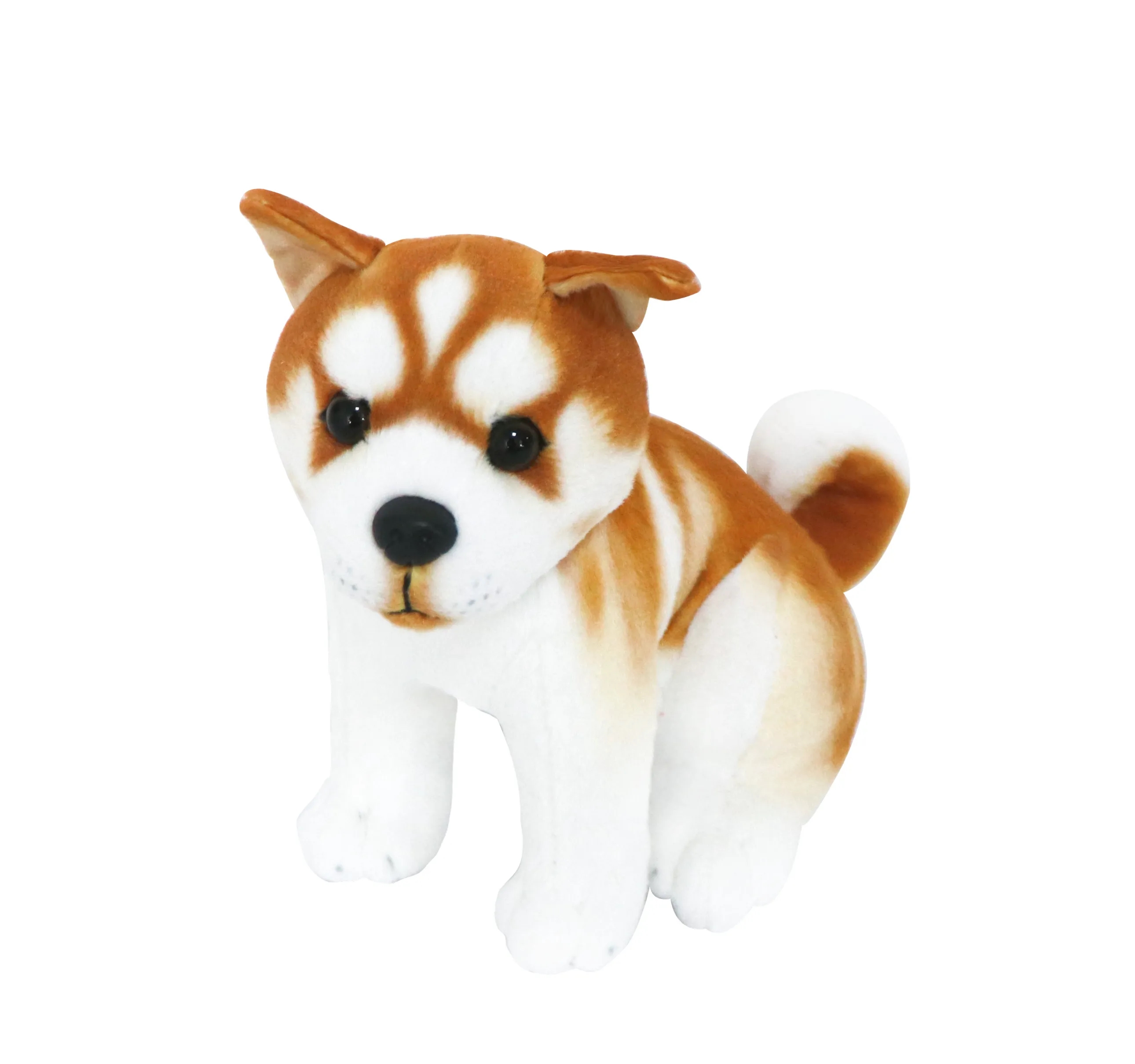 Standing Small Akita Dog 2